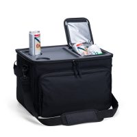 Bolsa-Termica-36-Litros-10390